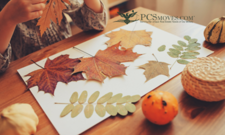 Affordable Autumn Decor Ideas