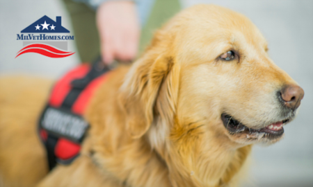 VA to Fund Training of Service Dogs for Veterans