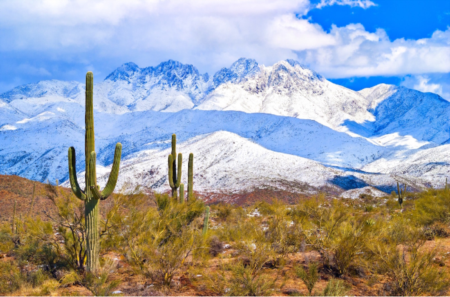 Yes! You Can Enjoy All Four Seasons in Arizona