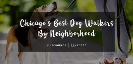 The Best Dog Walkers in Chicago By Neighborhood 