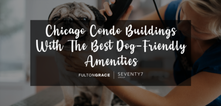 Chicago Condo Buildings With The Best Dog-Friendly Amenities