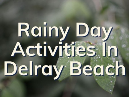 Rainy Day Activities In Delray Beach | Indoor Activities In Delray Beach