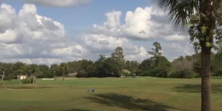 The Groves Land O Lakes