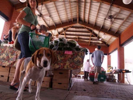 November Things to Do in Tampa Bay