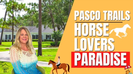 Pasco Trails - A horse lovers paradise Tampa FL
