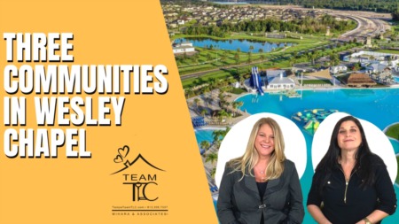 Spotlight: Three Communities in Wesley Chapel