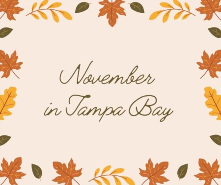 Things to do in Tampa Bay - Nov. 2021