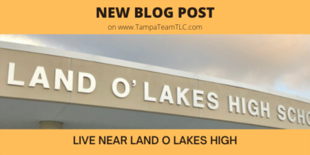 Top neighborhoods near Land O Lakes High