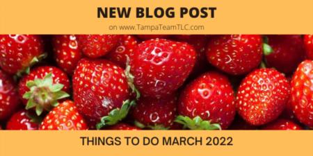 Things to do in Tampa Bay March 2022