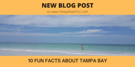 10 fun facts about Tampa (part 2)