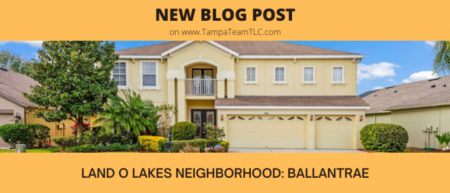 Land O Lakes neighborhood tour: Ballantrae