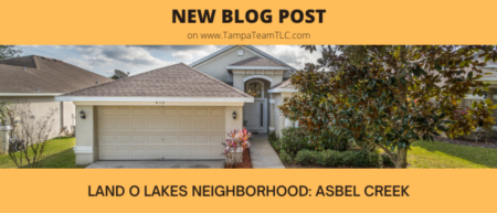 Land O Lakes neighborhood tour: Asbel Creek & Estates