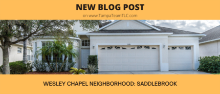 Wesley Chapel neighborhoods: Saddlebrook