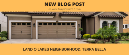 Land O Lakes neighborhood tour: Terra Bella