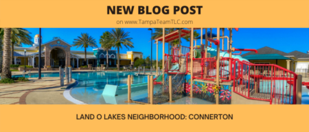 Land O Lakes neighborhood tour: Connerton