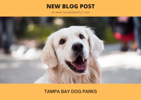 Our favorite Tampa Bay dog parks