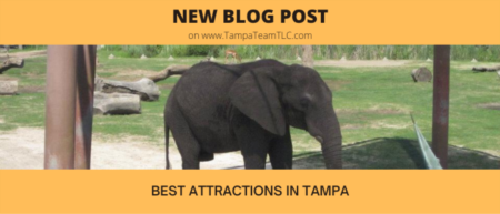 Best attractions in Tampa