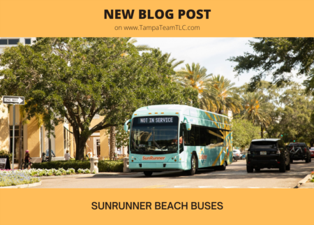 SunRunner: A fun way to get to the beach