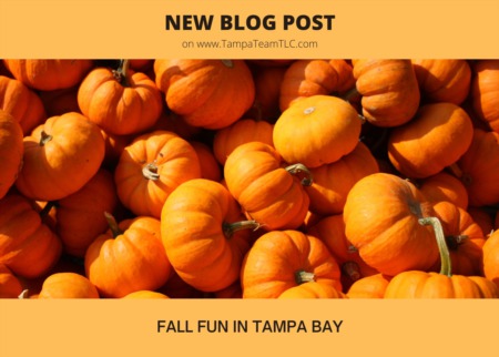 Fall fun around Tampa Bay