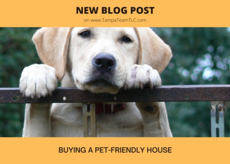 Pet owners guide to buying a house