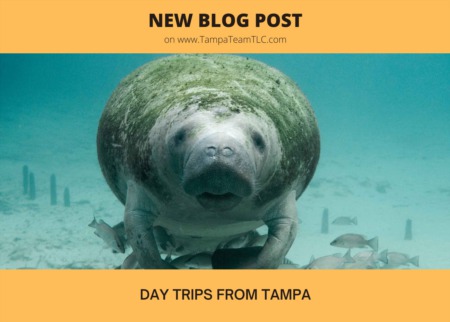 Day trips from Tampa