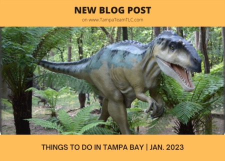 Things to do in Tampa Bay | Jan. 2023