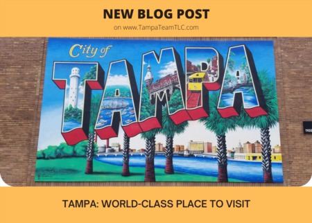 Tampa named top place to visit in the world