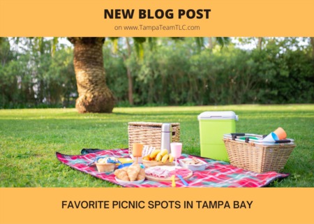 Best picnic spots in Tampa Bay