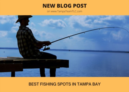Best fishing spots in Tampa Bay