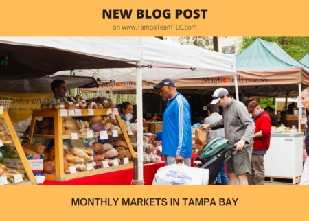 Monthly markets in Tampa Bay