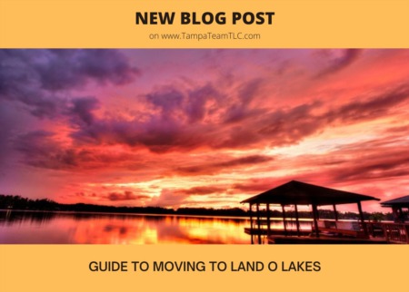 Moving to Land O Lakes