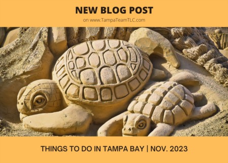Things to do in Tampa Bay | November 2023