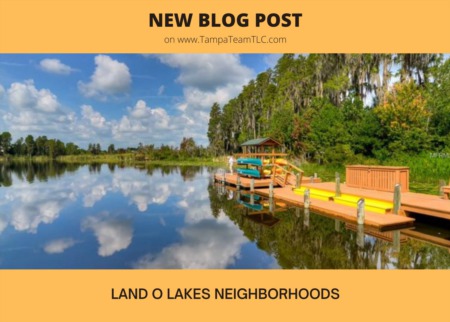 Land O Lakes neighborhoods