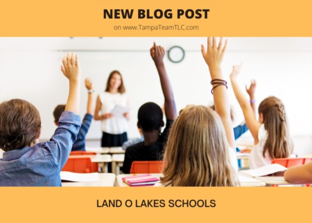 Land O Lakes schools