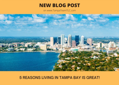 Top 5 reasons to live in Tampa Bay