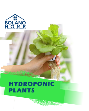 Hydroponic Gardening & How it Works