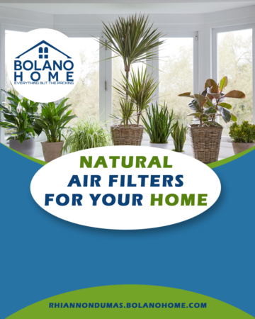 Natural Air Filters For Your Home