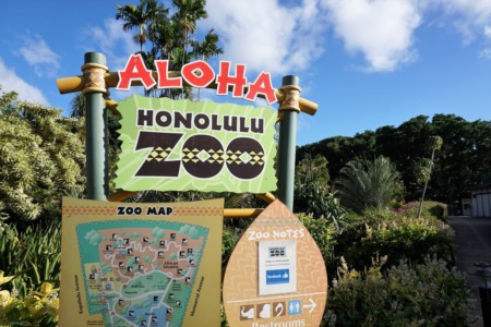October 2019 Email Updates Oahu Real Estate