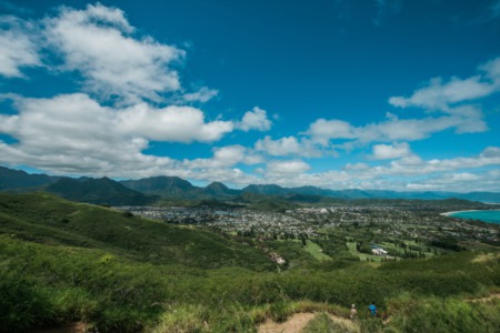 March 2020 Email Update Oahu Update
