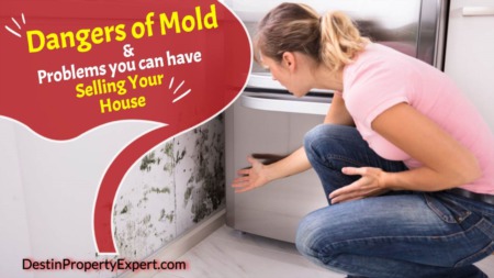 The Dangers of Mold and Problems You Can Have Selling Your House