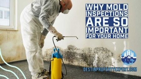 Why Mold Inspections Are So Important for Your Home