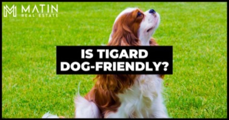 25 Dog-Friendly Activities Near Tigard: Best Dog Parks, Shops, Restaurants & Hotels