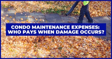 Maintenance Responsibilities For Condos: Owner Repairs vs COA Repairs