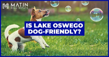 Is Lake Oswego Dog-Friendly? Best Dog Parks, Activities & Places to Go With Dogs