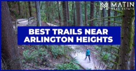 5 Trails Near the Arlington Heights Neighborhood: Hike Wildwood Trail, Hoyt Arboretum & Bristlecone