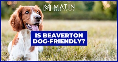 5 Best Dog Parks in Beaverton & Fun Things to Do With Your Dog: Is Beaverton Dog Friendly?
