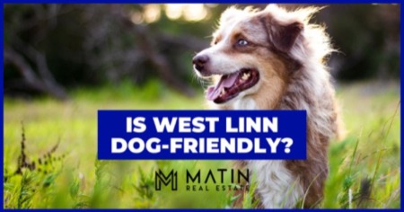 A Dog Owner’s Guide to West Linn Dog Parks & Dog-Friendly Activities