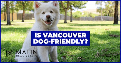 A Dog Owner’s Guide to Vancouver Dog Parks & Dog-Friendly Activities