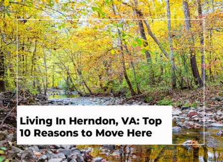 Living In Herndon, VA: Top 10 Reasons to Move Here
