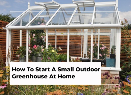 How To Start A Small Outdoor Greenhouse At Home